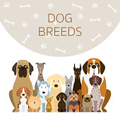 istock Group of Dog Breeds Illustration 933638100