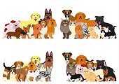 group of various  dogs and cats.