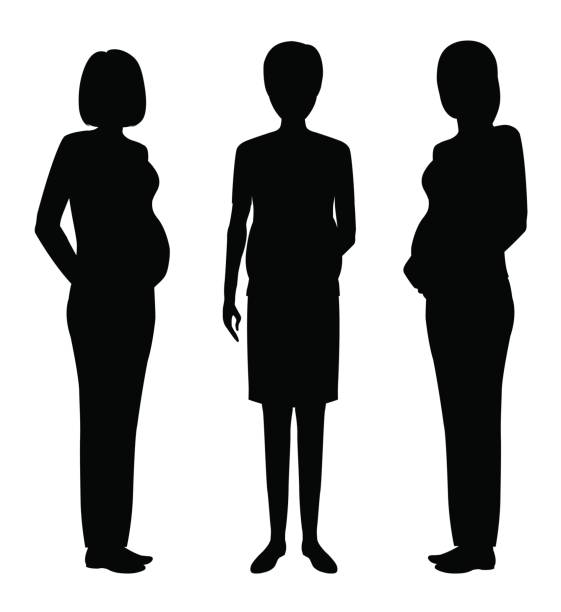 Group of three pregnant women black silhouettes. Future mothers community. Group of three pregnant women black silhouettes. Future mothers community. Vector illustration. pregnant silhouettes stock illustrations