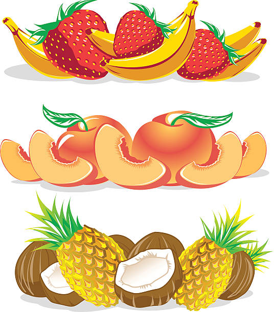 Groups of Fruit vector art illustration