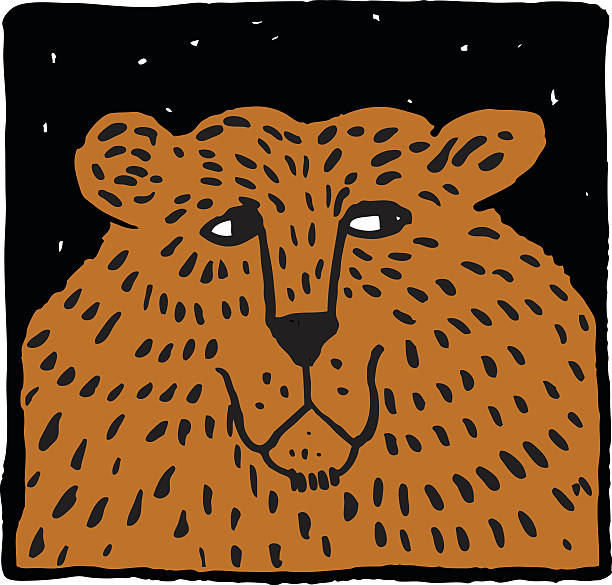 Grumpy Bear Illustrations, Royalty-Free Vector Graphics & Clip Art - iStock