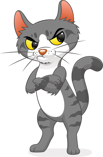 Grumpy Cat Stock Illustration - Download Image Now - iStock