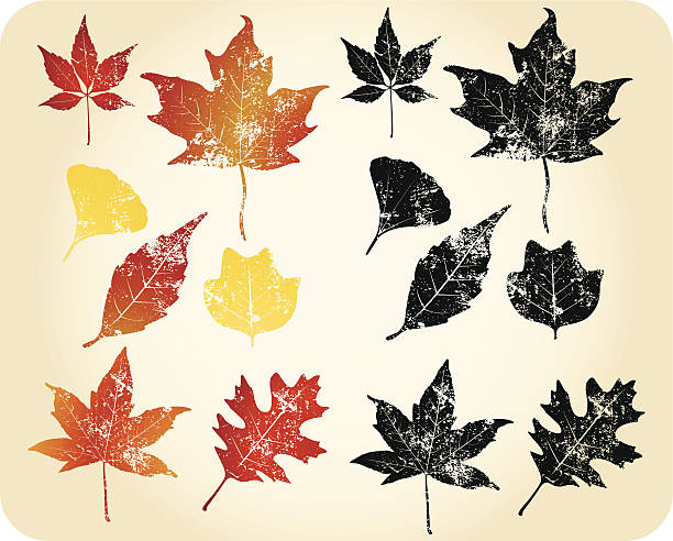 Grunge autumn leaves vector art illustration