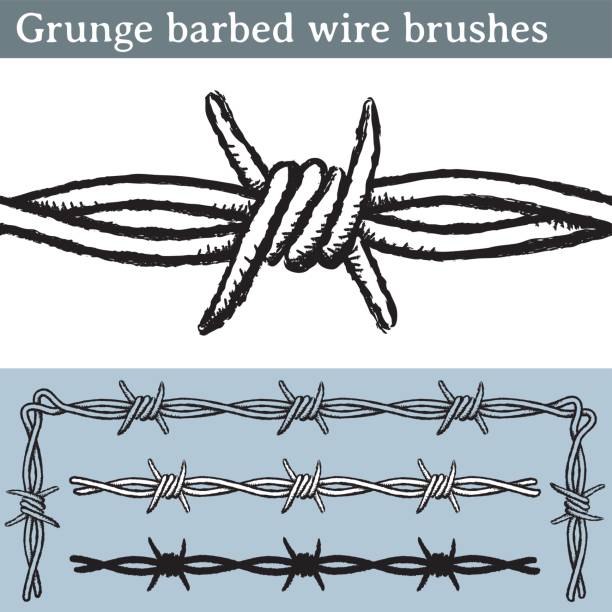 https www brusheezy com free barbed wire brush