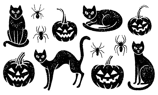 Textured vector illustrations of black cats, carved pumpkins, and spiders.
