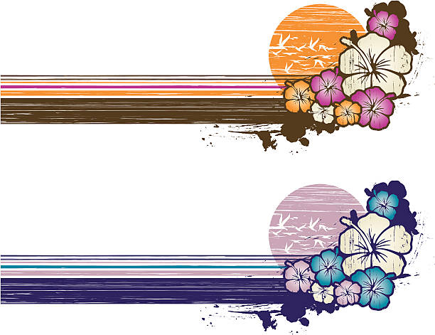 grunge hibiscus banner Two vintage colors models of a summer horizontal composition with hibiscus, grunge technique beach borders stock illustrations