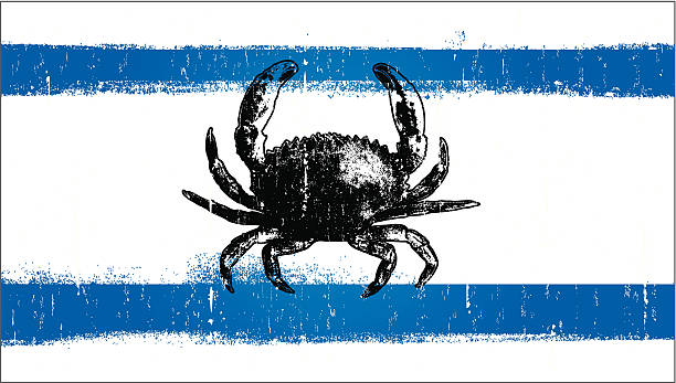 grunge summer flag with crab vintage flag with crab blue crab stock illustrations