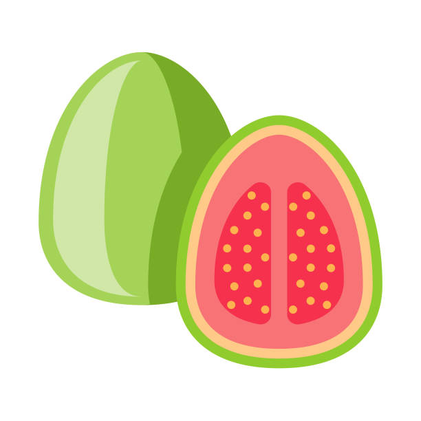 ilustrações, clipart, desenhos animados e ícones de ícone de fruta goiaba design plano - doce de goiaba