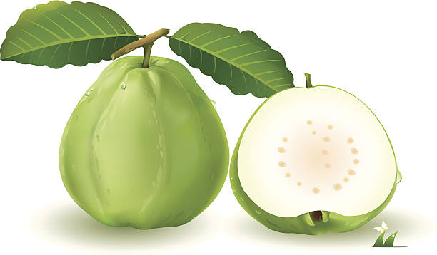 ilustrações, clipart, desenhos animados e ícones de guavas com folhas e corte-as em pedaços de goiaba foram - doce de goiaba