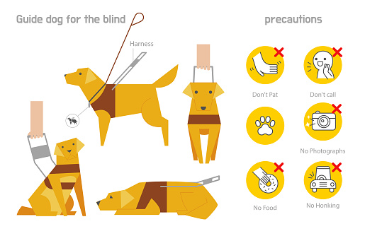 Guide dog information