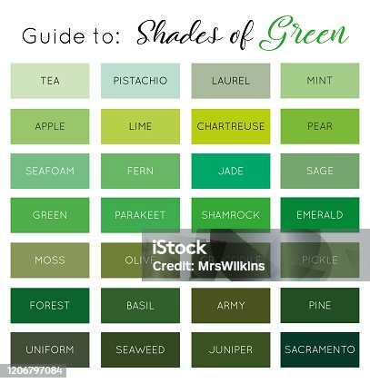 istock Guide to Shades of Green vector 1206797084