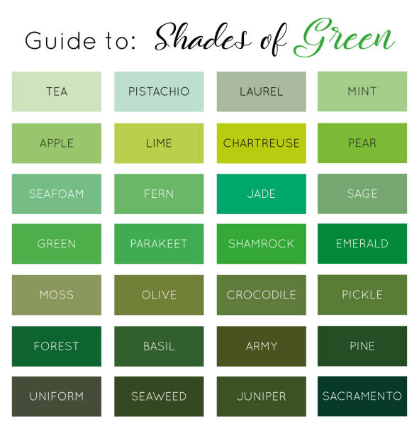 bildbanksillustrationer, clip art samt tecknat material och ikoner med guide till nyanser av grön vektor - palettblad