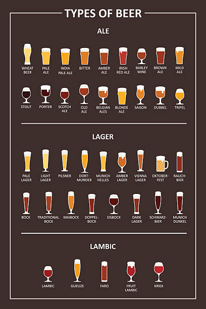 Guide to the types of beer. Vector illustration vector art illustration