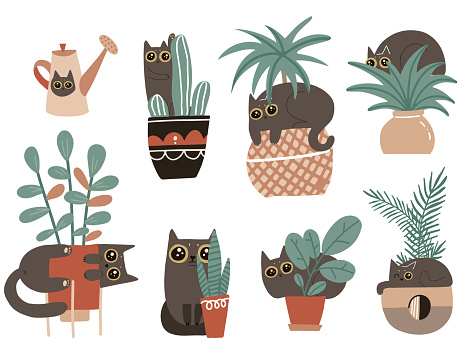 Guilty cat characters set. Cute naughty playful cats damage houseplants. Black Kitten play with house plants in flower pots. Isolated vector hand drawn scandinavian cartoon illustration.