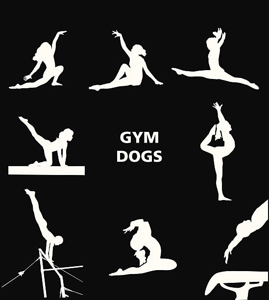 Gym Dogs Vector illustration of gymnasts performing floor, vault, bars and beam routines. gymnastic silhouette stock illustrations