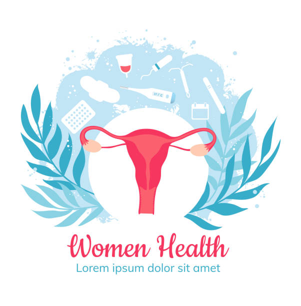 Gynecology and women health. Gynecological clinic. Vector Gynecology and women health. Gynecological clinic. Isolated vector illustration iud stock illustrations