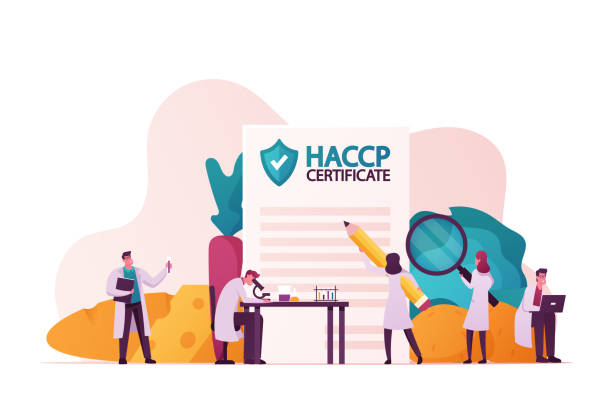 ilustrações de stock, clip art, desenhos animados e ícones de haccp hazard analysis and critical control point. standard and certification, quality control management rules for food industry. tiny characters with microscope. cartoon people vector illustration - haccp