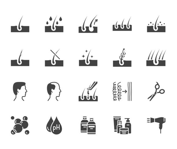 Hair loss treatment flat glyph icons set. Shampoo ph, dandruff, hair growth, keratin, conditioner bottle vector illustrations. Black signs for beauty store. Silhouette pictogram pixel perfect 64x64 Hair loss treatment flat glyph icons set. Shampoo ph, dandruff, hair growth, keratin, conditioner bottle vector illustrations. Black signs for beauty store. Silhouette pictogram pixel perfect 64x64. stratum corneum stock illustrations