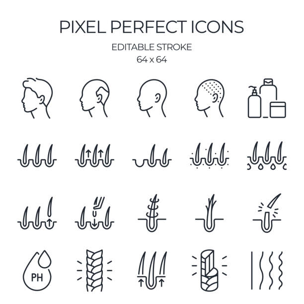 stockillustraties, clipart, cartoons en iconen met hair problems related editable stroke outline icons set isolated on white background flat vector illustration. pixel perfect. 64 x 64. - haaruitval