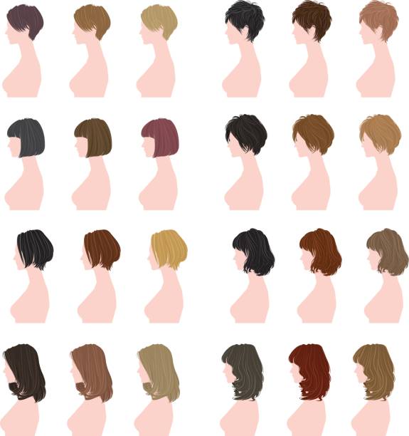 Hairstyle of the woman Illustration of the hairstyle short hair stock illustrations