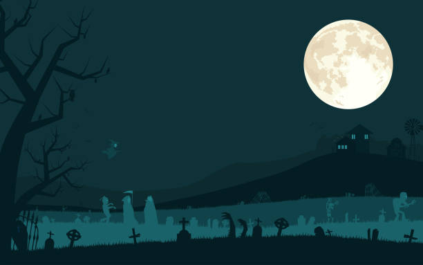 ilustraciones, imágenes clip art, dibujos animados e iconos de stock de fondo de halloween con vampiro, segador sombrío, zombies y bruja en el cementerio y la luna llena. ilustración vectorial. - halloween background