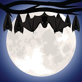 Hanging bats on branch of tree. Halloween card