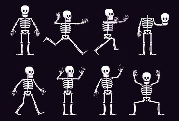 halloween-cartoon-skelett in unterschiedlicher position - menschliches skelett stock-grafiken, -clipart, -cartoons und -symbole