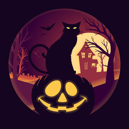 Halloween Full Moon With Jack O Lantern And Black Cat Vector Illustration Stock Illustration Download Image Now Istock