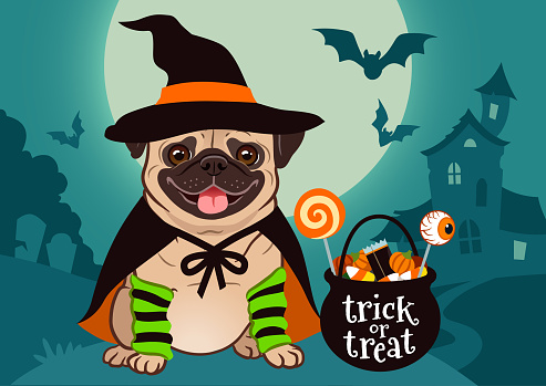 Halloween pug dog dressed as witch with hat, cape, cauldron with candy, against spooky scene with full moon, haunted house, forest cemetery. Halloween, dog lovers, pet costume theme for posters, cards