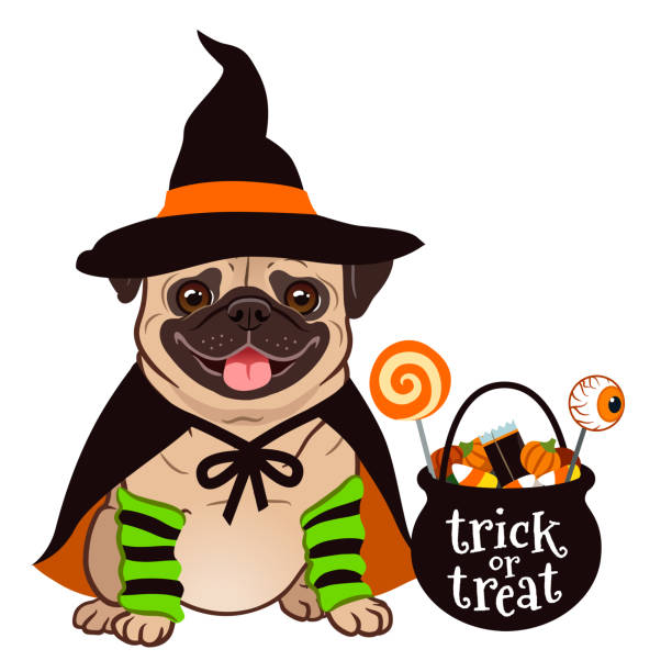 ilustraciones, imágenes clip art, dibujos animados e iconos de stock de halloween pug perro vector de dibujos animados ilustración. estar gordito lindo barro amasado cachorro en disfraz de bruja con sombrero negro y el cabo, truco de caldero o cubo lleno con dulces. halloween divertido para el tema de las mascotas. - candy canes