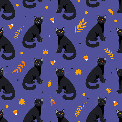 Halloween seamless pattern Black cat, autumn leaves, herbs and candy in orange tones dark purple background. Bright illustration cartoon style. For wallpaper, printing on fabric, wrapping, background.