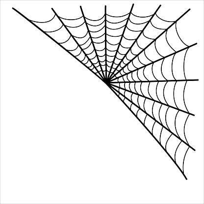Halloween spider web isolated on white background.
