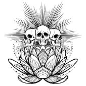 Halloween spirit. Human skulls on a sacred lotus flower with light rays behind. Intricate hand drawing isolated on white background. Tattoo design. EPS10 vector illustration