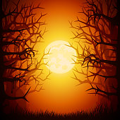 istock Halloween Spooky Forest 1048431524