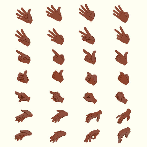 Hand animation poses. Hands in different positions. Key frames of the hands. A set of hands for character animation. Hand animation poses. Hands in different positions. Key frames of the hands. A set of hands for character animation. limb body part stock illustrations