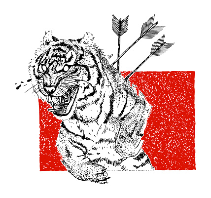 Hand drawn aggressive tiger with arrows and tears. Tattoo theme. Vector sketch illustration.