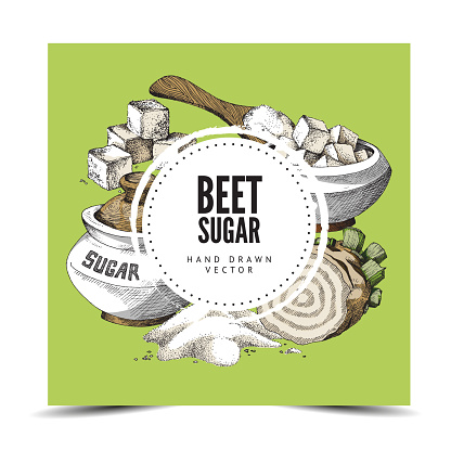 Hand drawn background with round label, place for brand and beet sugar. Vector illustration of sugar beet, sugar bowl and spoon