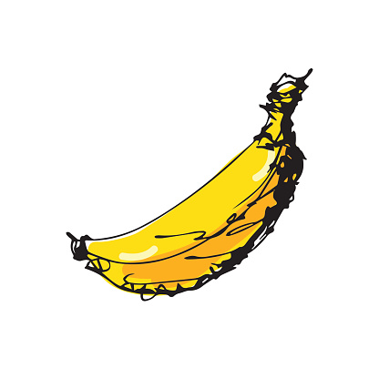 Hand drawn banana artwork vector