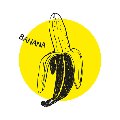 Hand drawn banana