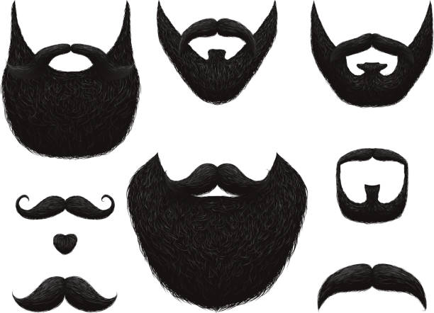 ilustrações, clipart, desenhos animados e ícones de mão desenhadas barbas e bigodes vector coleção - bigode