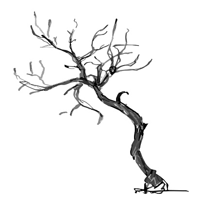 Hand Drawn Black Tree Isolated On White Background Branches Of Small ...