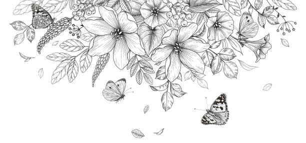 Hand drawn blooming flowers and butterflies Hand drawn blooming flowers and butterflies on blank background. Black and white different wildflowers. Vector monochrome elegant floral composition in vintage style, template wedding decoration. butterfly coloring stock illustrations