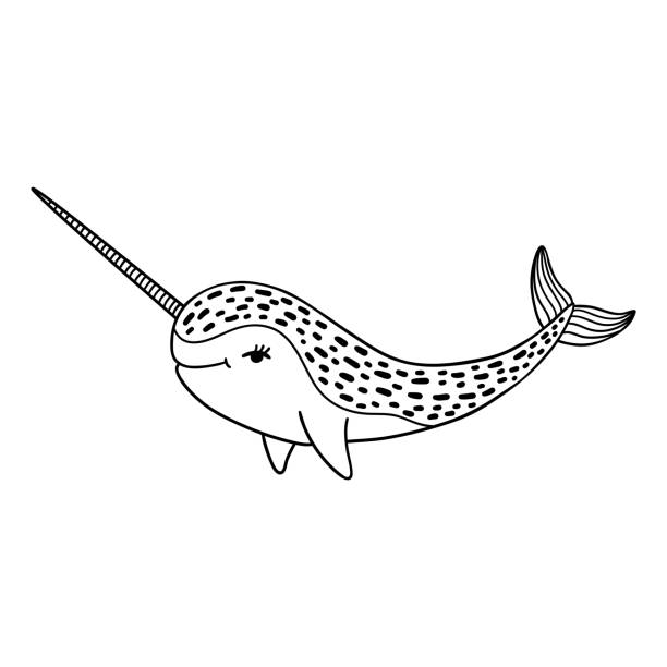 Hand drawn cartoon funny narwhal. Hand drawn cartoon funny narwhal. Nursery unicorn of sea. Vector illustration isolated on white background. printable of fish drawing stock illustrations