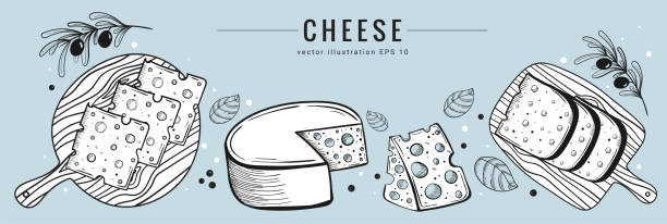 Hand drawn cheese set banner template. Sketch style Hand drawn cheese set banner template. Sketch style, white and light blue colors, vector illustration of different types of cheese with olives and basil. Dairy products vector illustration. cheddar cheese stock illustrations