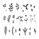Hand drawn Christmas floral sprigs, leaves and berries illustrations set on white background