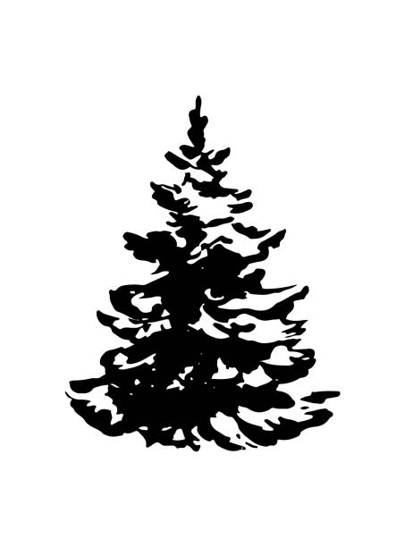 Hand drawn Christmas tree isolated on white. Vector illustration in sketch style. Christmas design element  christmas tree outline stock illustrations