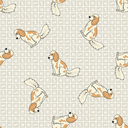Hand drawn cute cocker spaniel puppy and dog breed seamless vector pattern. Purebred pedigree domestic dog on paw background. Dog lover English hunting pet all over print. Kennel pooch. EPS 10.