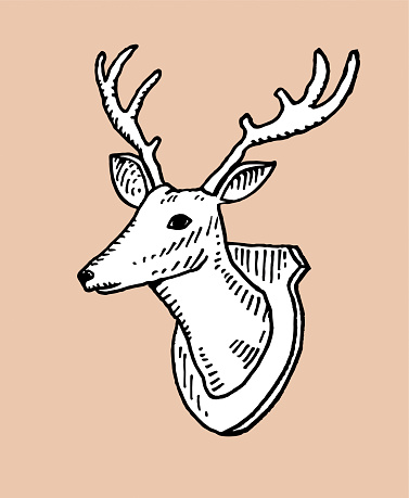 Hand drawn deer head stock illustration