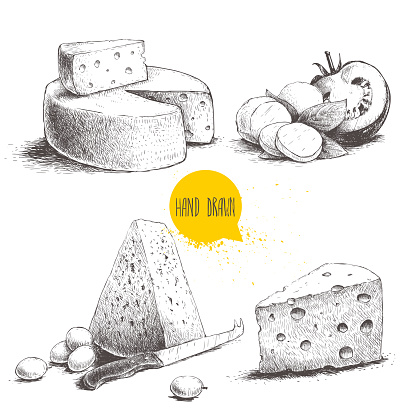 Hand drawn different type of cheese set