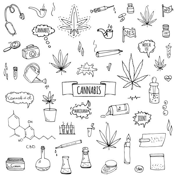 Hand drawn doodle Cannabis icons set vector art illustration
